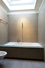 beautiful apartment, interior, bathroom clad in stone