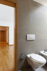 beautiful apartment, interior, bathroom , open door