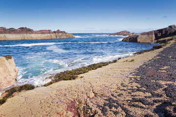 Rocks,sea and mussels