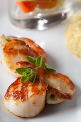 paar gegrillte Jakobsmuscheln