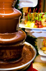 Fruit, berries prepared for &igrave;&agrave;&ecirc;&agrave;&iacute;&egrave;&yuml; in a chocolate fountain