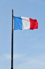 BANDIERA FRANCESE