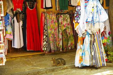 Fototapeta na wymiar relaxende Katze bei bunten Kleidern