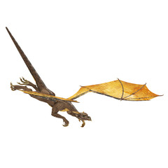 dragon diving