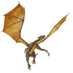 dragon goin up
