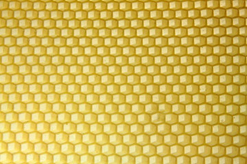 Natural empty honeycomb