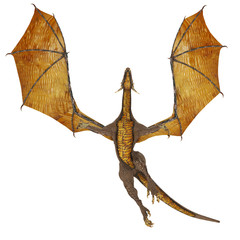 Fototapeta premium dragon passing by