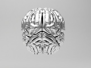 cervello 3d argento metallo