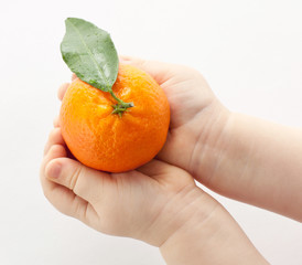 Baby's hands holding tangerine