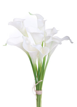 bouquet of calla lilies