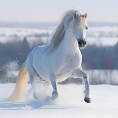 Rolgordijnen Paard Galopperend wit paard