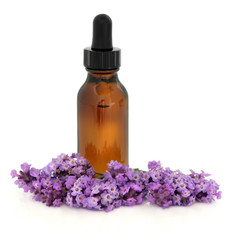 Obraz na płótnie Canvas Lavender Flower Essence