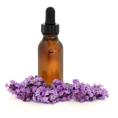 Lavender Flower Essence