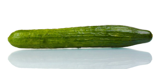long cucumber isolated on white