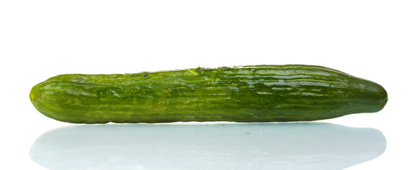 long cucumber isolated on white
