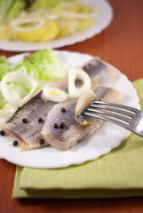 salted herring