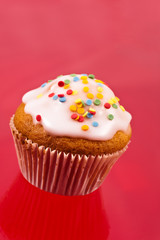 Muffin