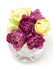 beautiful tulips in vase