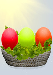 Easter eggs in a basket with birch branches
