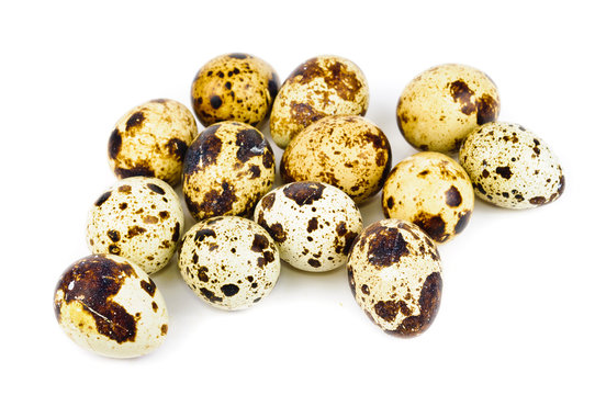Quail eggs