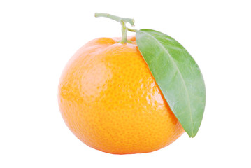 mandarin orange - 39095730