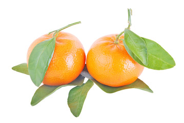 mandarin orange isolated on a white background