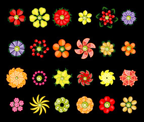 Flower design set made from fruits