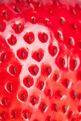 macro strawberry