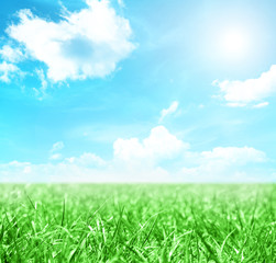 Obraz na płótnie Canvas Green field and blue sky