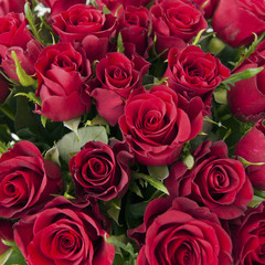 Red Roses