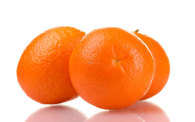 mineola fruits isolated on white