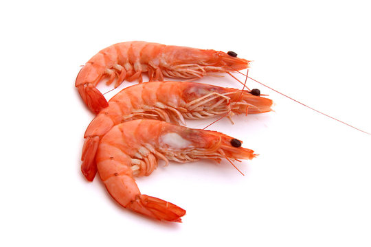 Crevettes