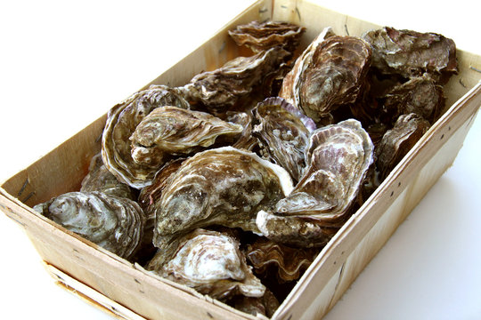 Huitres