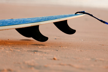 Surfboard