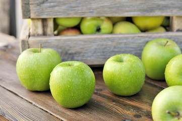 apples in  box