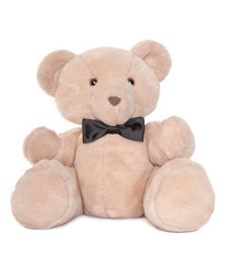 Sitting teddy bear with bow tie