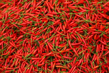 Fototapeta premium Piments rouges