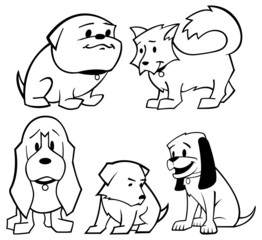 Black and White Puppies
