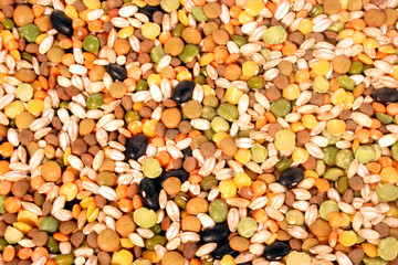 seed mix