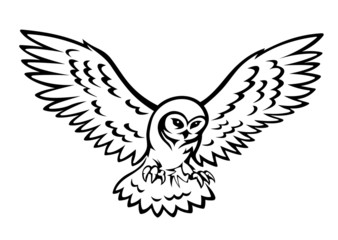 Obraz premium Flying owl