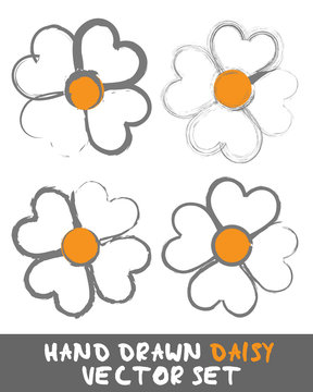 Hand drawn Daisy Set Vector