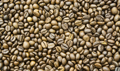 roasted coffee beans