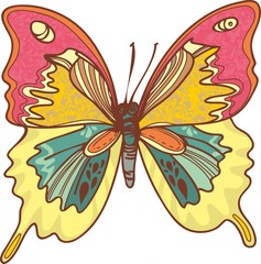 иллюстрация бабочка. контуры и красивые цвета
