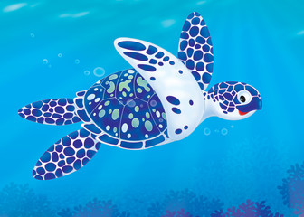 Fototapeta premium sea loggerhead turtle swimming over a coral reef
