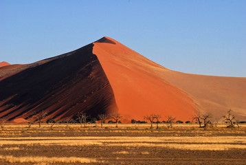 Fototapeta na wymiar Desert Namibie7