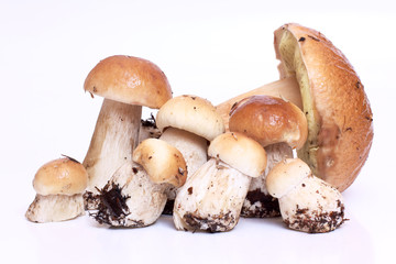 Mushrooms