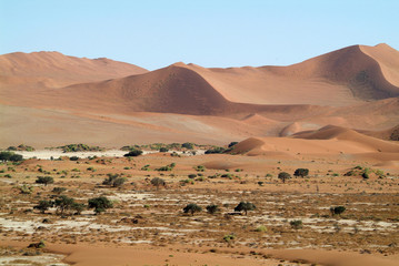 désert de Namibie18