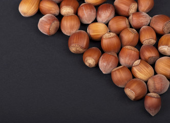 Group of hazelnuts  close-up on a black background