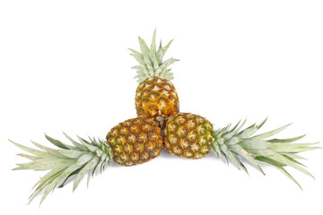 Fototapeta premium pineapple