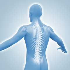Männlicher Rücken mit Wirbelsäule